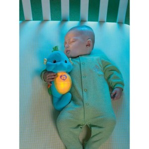 Fisher-price Infant Cavalo Marinho Com Luzes-068905-91458