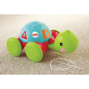 Fisher-price Infant Empurra Tartaruga-049222-58198