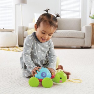 Fisher-price Infant Empurra Tartaruga-049222-63472