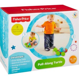 Fisher-price Infant Empurra Tartaruga-049222-71114