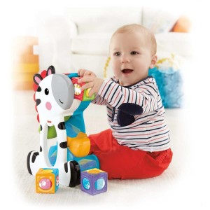 Fisher-price Infant Zebra Blocos Surpresa-058332-43760