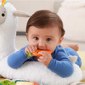 Fisher-price Newborn Toys Lhama Amigavel-080111-62991