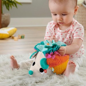 Fisher-price Newborn Toys Ourico Aconchego Pelucia-099042-54374