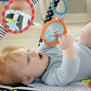 Fisher-price Newborn Toys Tapete Atividades C/ginasio-099041-99016