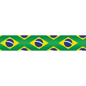 Fita De Cetim Decorada 22mm 10m. Bandeiras Brasil Vd-101062-31560