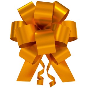 Laco Pronto Liso 20mmx40cm. Flor Dourado Un/bli-042469-82599