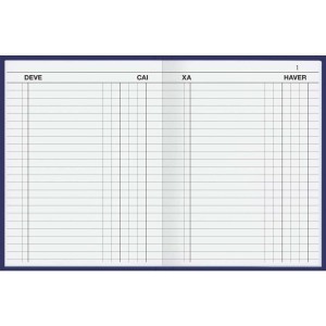 Livro Caixa 1/4 50 Folhas Color 23-017208-19137