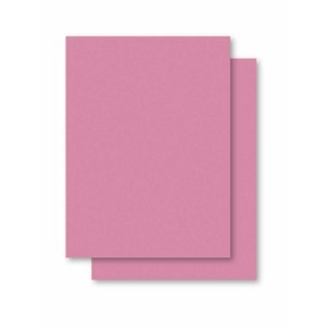 Papel Cartolina Rosa Escolar 50x66cm.140grs.-041302-16720