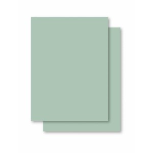 Papel Cartolina Verde Escolar 50x66cm.140grs.-041304-15753