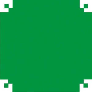 Papel De Seda Verde Bandeira 48x60cm 20g-011508-81622