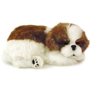 Perfect Petzzz Filhote Cachorro Shih Tzu-030470-85585