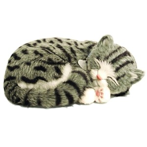 Perfect Petzzz Filhote Gato Gray Tabby-030477-44071