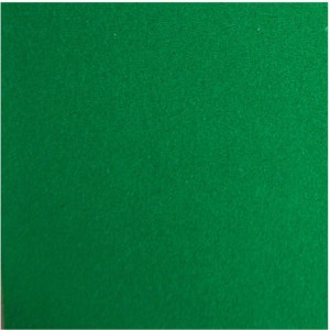 Placa Em Eva 4mm 48x40mm Verde Escuro-085890-39440