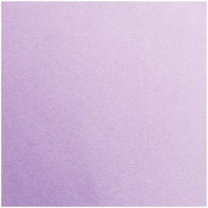 Placa Em Eva 48x40cm Lilas 1,6mm-061206-17512