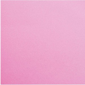 Placa Em Eva 48x40cm Rosa 1,6mm-061210-12381