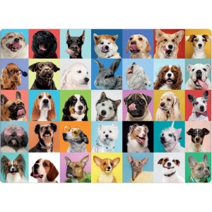 Quebra-cabeca Cartonado Cachorros Mosaico 500pcs-027086-92340