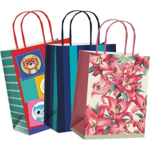 Sacola Para Presente Decorada Decoradas 32x26,5x13cm Sortida