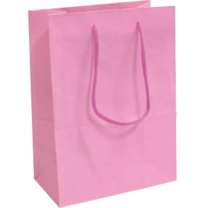 Sacola Para Presente Lisa Rosa 15x21,5x8 Cm.-059585-61140