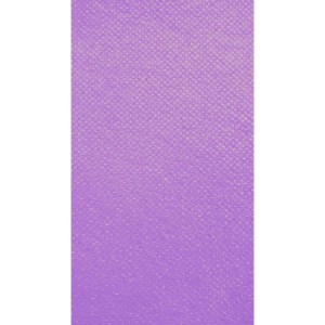 Tnt 1,40m 40g Lilas-076532-76963