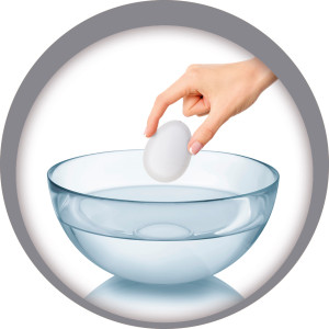 Ovo Com Dinossauro 6 Cm-842275-52453