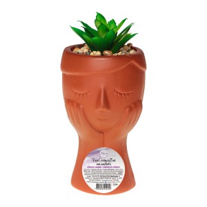 Vaso Cerâmica Face Com Suculenta-842469