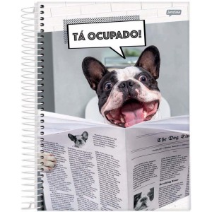 Caderno 01x1 Capa Dura Pets Love 80fls.-087115-31741