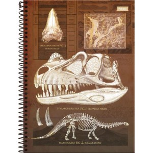 Caderno 01x1 Capa Dura Sauros  80f-110549-29826