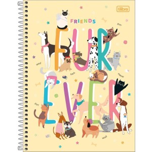 Caderno 10x1 Capa Dura Hug Me 160fls.-083266-56110