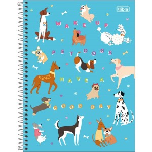 Caderno 10x1 Capa Dura Hug Me 160fls.-083266-68199