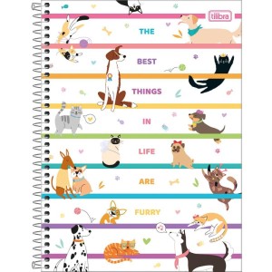 Caderno 10x1 Capa Dura Hug Me 160fls.-083266-68233