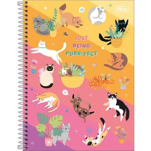 Caderno 10x1 Capa Dura Hug Me 160fls.-083266-88326