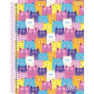 Caderno 10x1 Capa Dura Love 160f-109874-56316