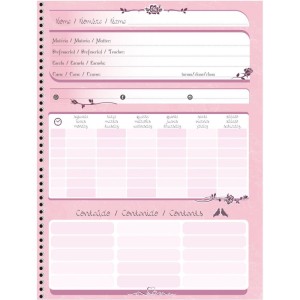 Caderno 10x1 Capa Dura Rosa Rose 160f-109771-89242