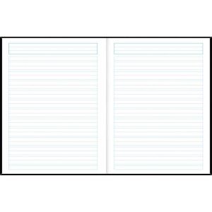 Caderno Caligrafia Capa Dura D+ 40fls. Brochura Vert.-110114-32207