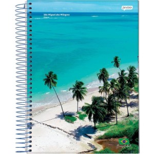 Caderno Espiral 1/4 Capa Dura Brasilidade 200fls-110468-53220