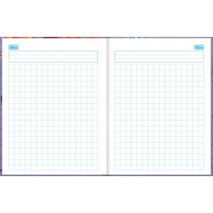 Caderno Quadriculado Univers. Sapeca 40fls Cd Masc/fem 1x1cm-109272-57039