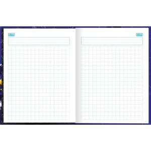 Caderno Quadriculado Univers. Spider Man 40fls Brochura 1x1c-109240-86265