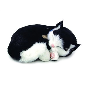 Perfect Petzzz Filhote Gato Black E White Shorthair-027225-13588