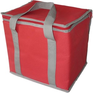 Bolsa Termica Retangular 9l (s)-111106-86333