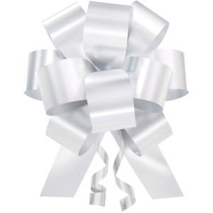 Laco Pronto Liso 20mmx40cm. Cores Sortidas-111442-19013