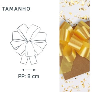 Laco Pronto Liso 20mmx40cm. Cores Sortidas-111442-53782