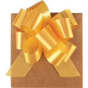 Laco Pronto Liso 30mmx84cm Cores Sortidas-111444-75008