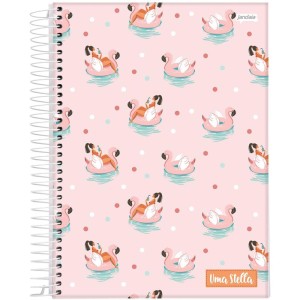 Caderno 12x1 Capa Dura Stella 192fls.-111289-53600