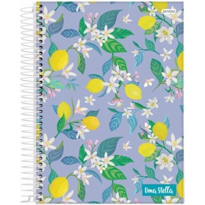 Caderno 20x1 Capa Dura Stella 320fls.-098196-62487