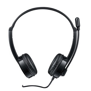 Headset H120 Rapoo Anti-ruído Com Controle De Volume Usb-RA020-43948