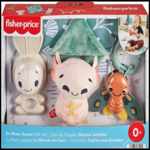 Fisher-price Newborn Toys Conjunto Muitos Sentidos C/4-112820-87027