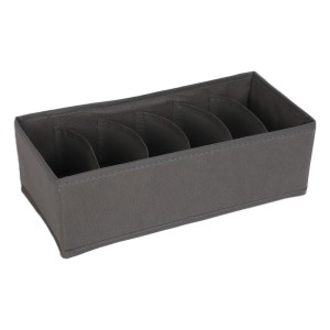 Organizador Pecas Intimas 6 Divis 32x15,5x9,-840619