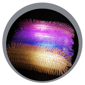 Lagarta Divertida Com Luz-836365-25366