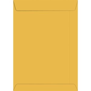 Envelope Saco Ouro 120x175 80grs. 180-112270-22063