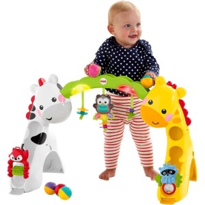 Fisher-price Newborn Toys Ginasio Etapas Cresce Comigo-112961-43052